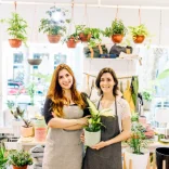 Flower Shop Flower Shop